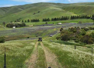 Lions Club Yankalilla Day Out 2025