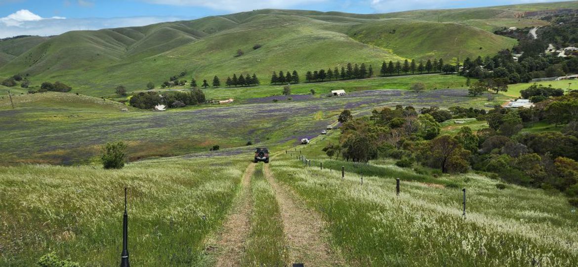 lions club yankalilla day out 2025